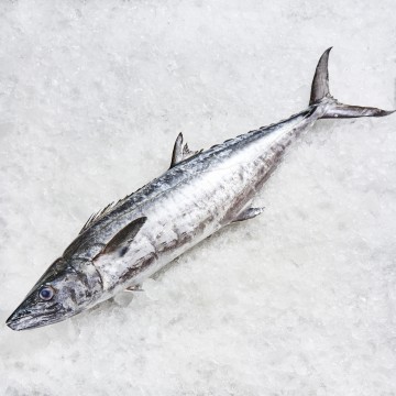RARE DEALS! Big Batang Whole 巴当 (refer to description)