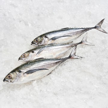 RARE DEALS! Hard-tail Scad 硬尾鱼 (Quantity & Weight Vary)