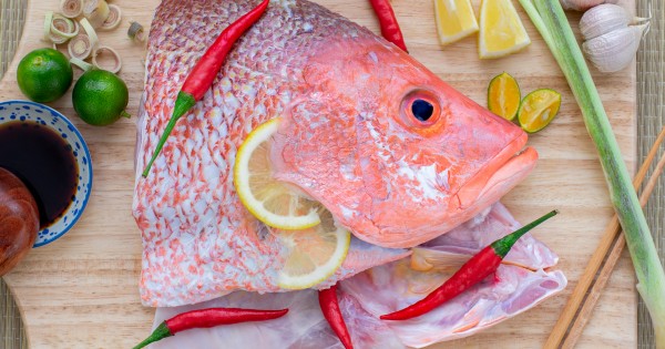 Promotion Kukup Red Snapper Head