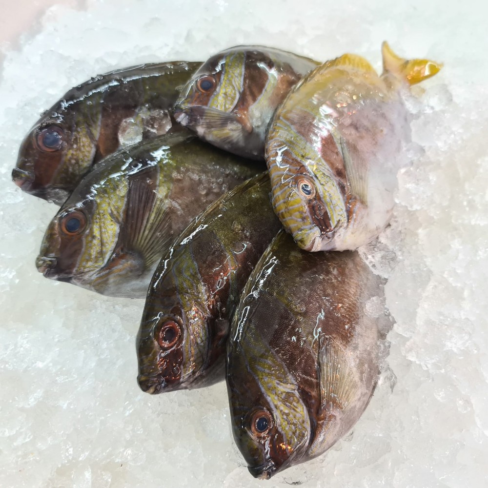 Seafood