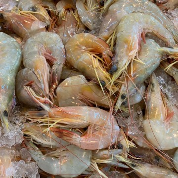 RARE DEALS! Red Legged Prawn 红脚虾 approx 1kg (size varies/kg)