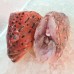 Seafood