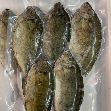 Frozen White Rabbit 冰冻白肚鱼 (发财鱼) carry 80% roe 带鱼蛋 (refer description)