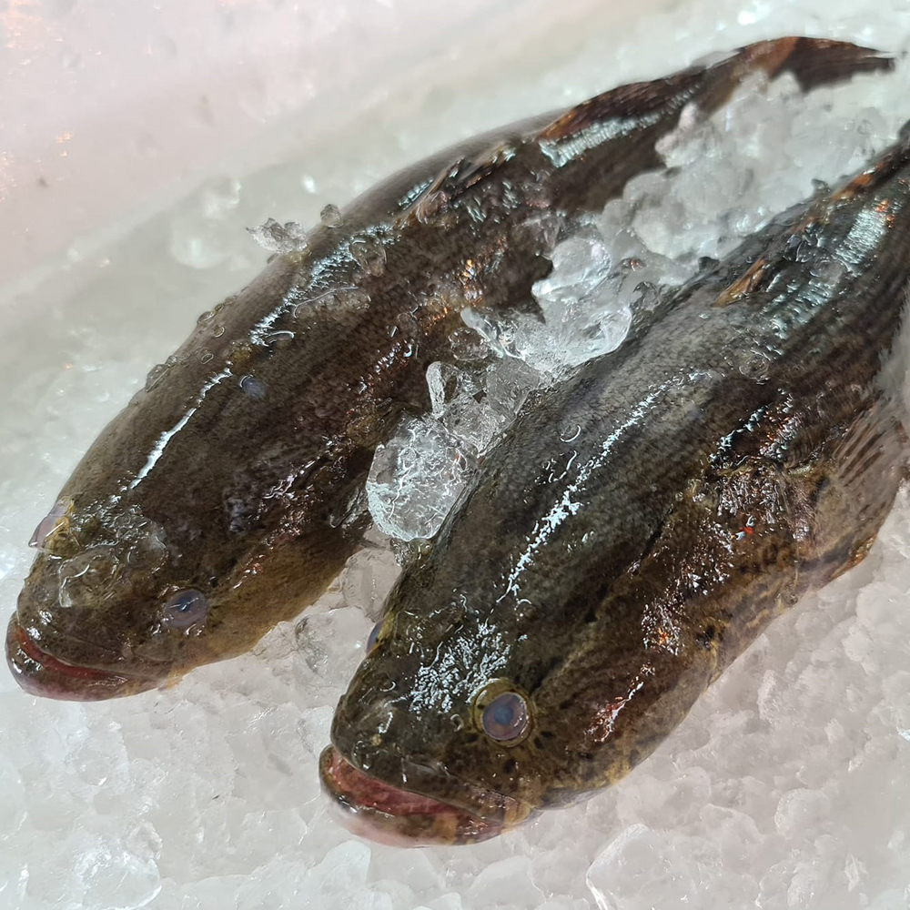 Seafood