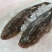 Seafood