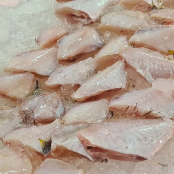 Frozen Leather Jacket (Headless Small) 无头小竹仔鱼 (700g - 800g)