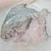 Seafood