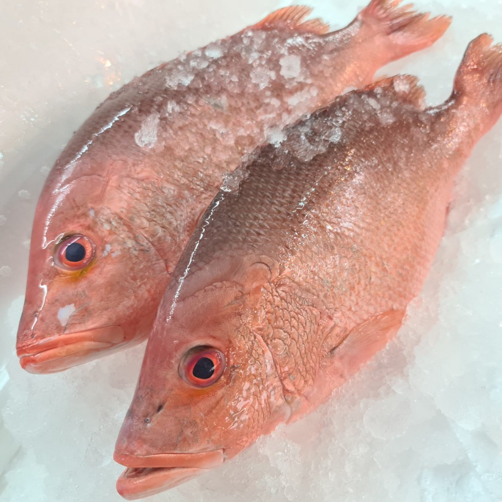 Seafood