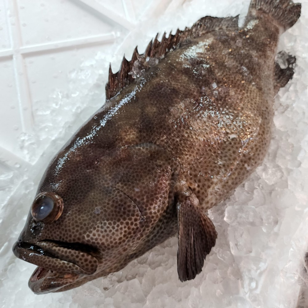 Seafood