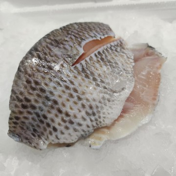 Frozen Black Tilapia Fillet 冰冻罗非鱼肉