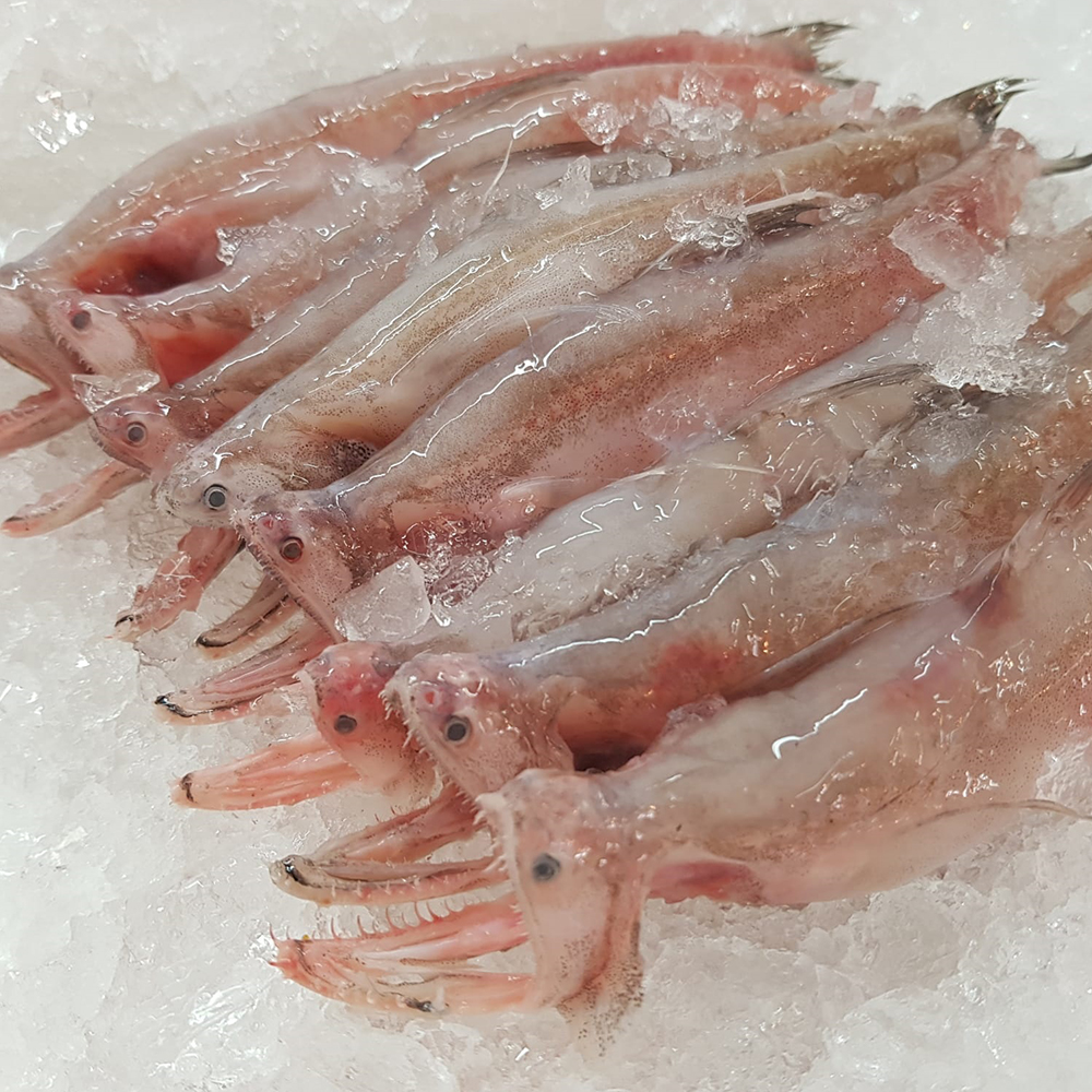 Seafood