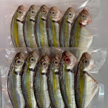 Frozen Kunning 冰冻君令鱼 (400g-500g)