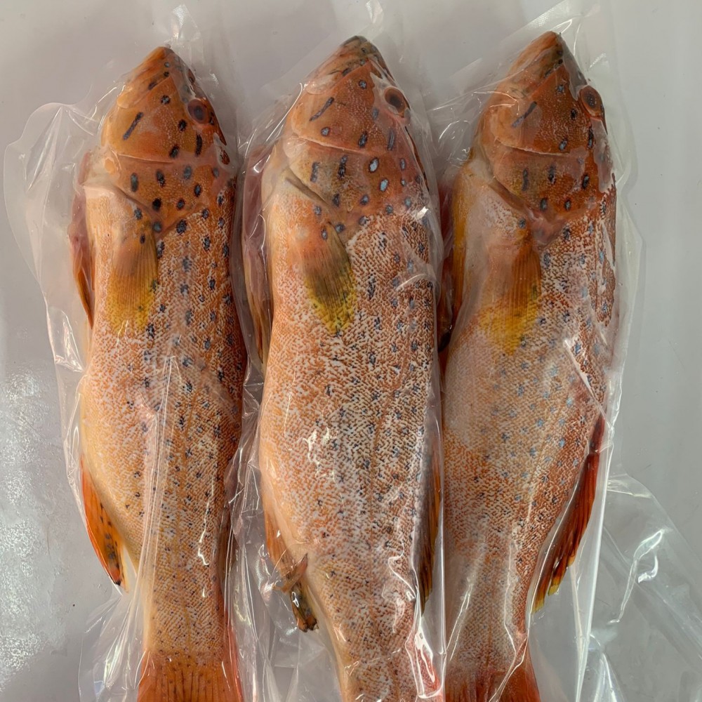 Seafood