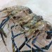 Seafood