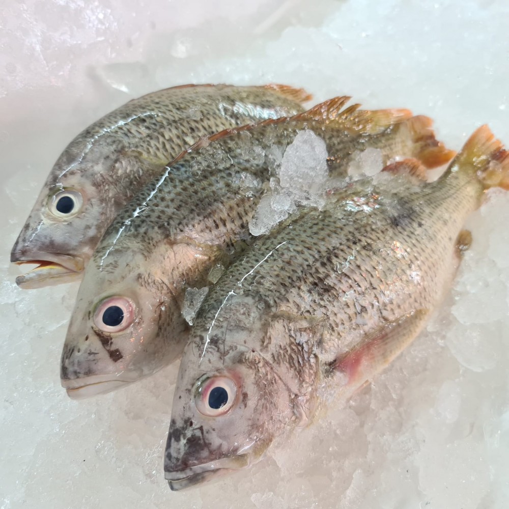 Seafood