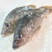 Seafood