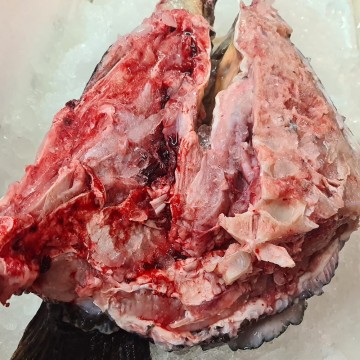 Frozen Goliath Grouper Head (Cut to pieces) 冰冻野生龙胆鱼头碎 (400g - 500g)
