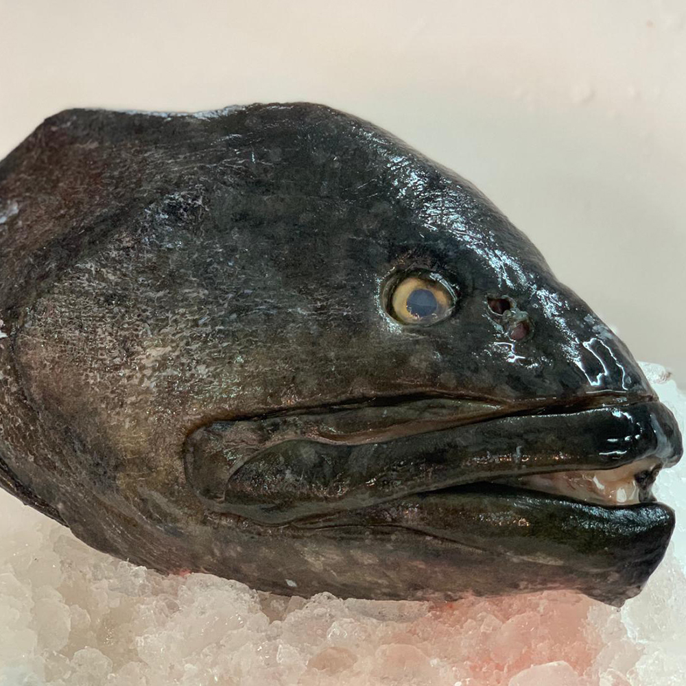 Seafood