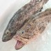 Seafood