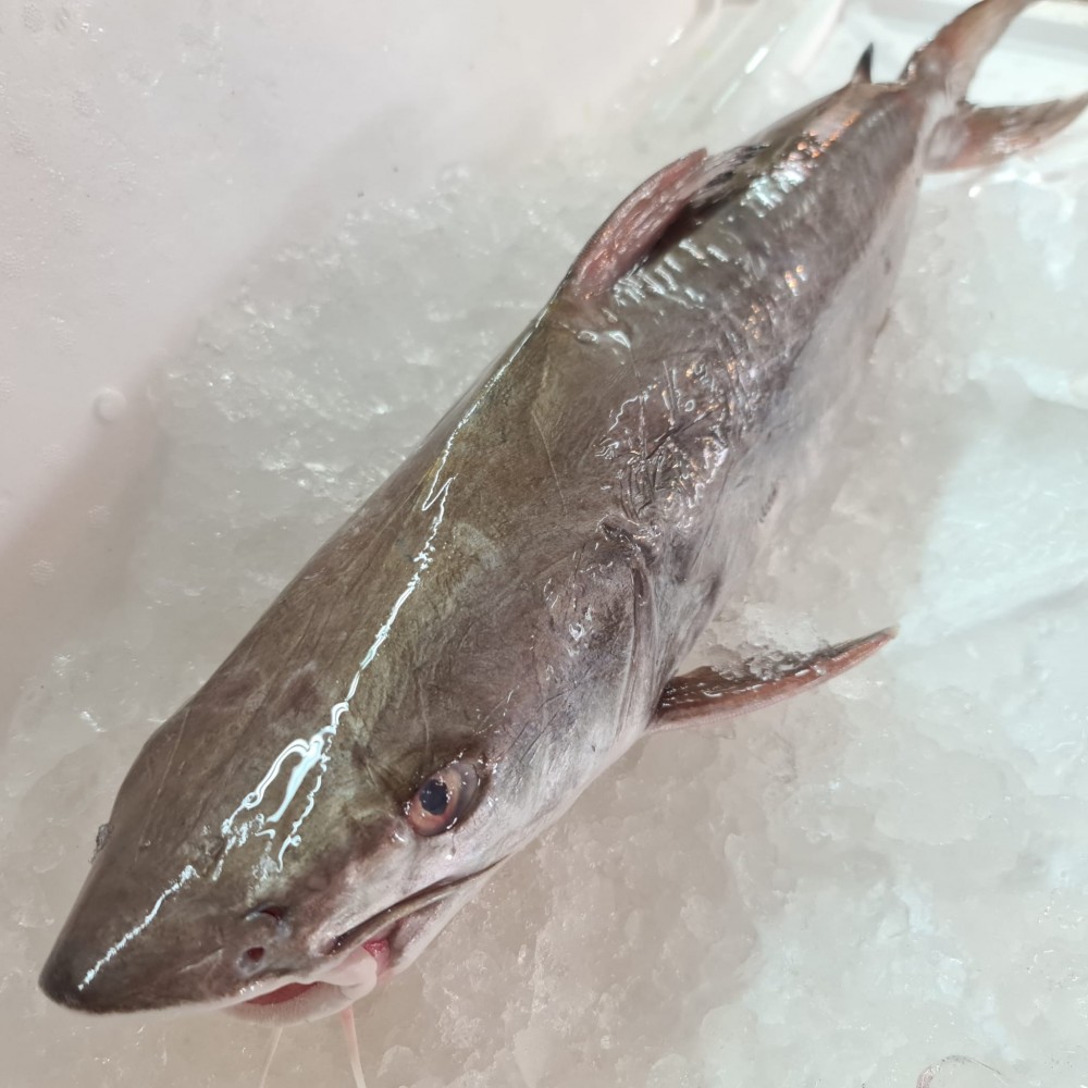 Seafood