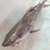 Seafood