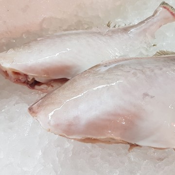 RARE DEALS! Headless Leather Jacket 无头竹仔鱼 RARE DEALS! Headless Leather Jacket 无头竹仔鱼