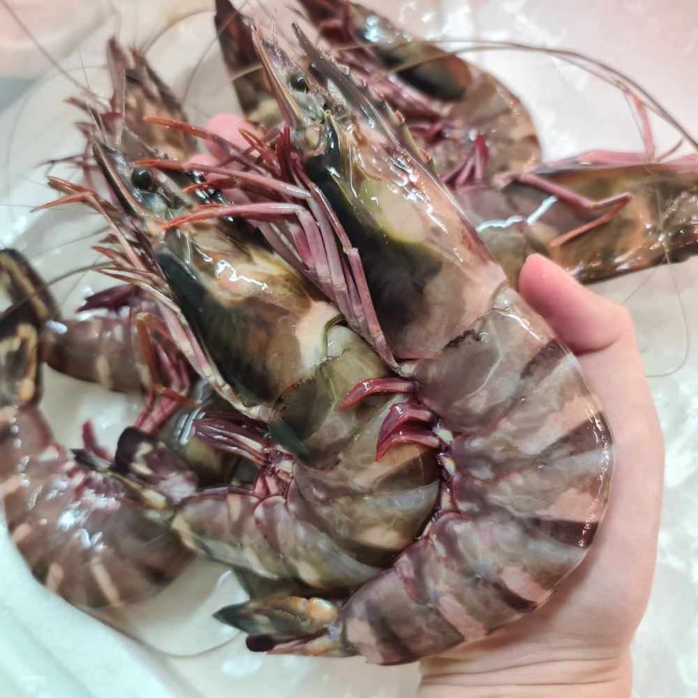 Daily Offers Daily Offers