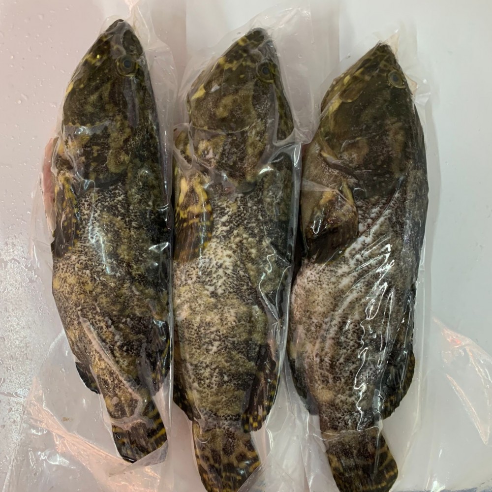 Seafood