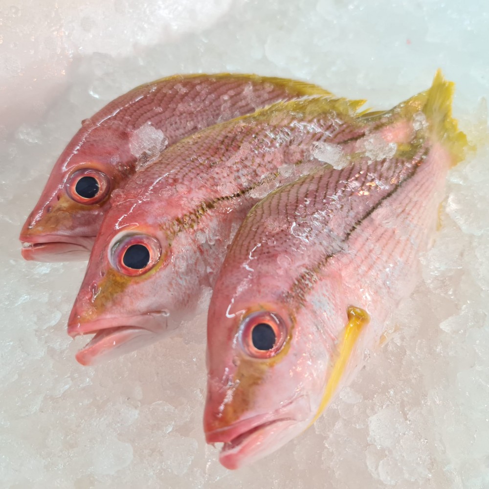 Seafood