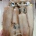 Shellfish