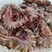 Seafood