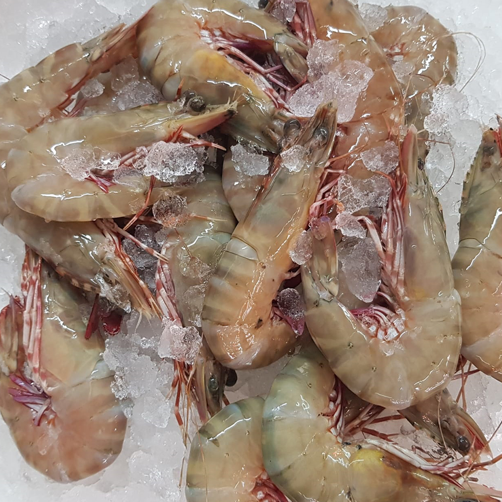 Seafood