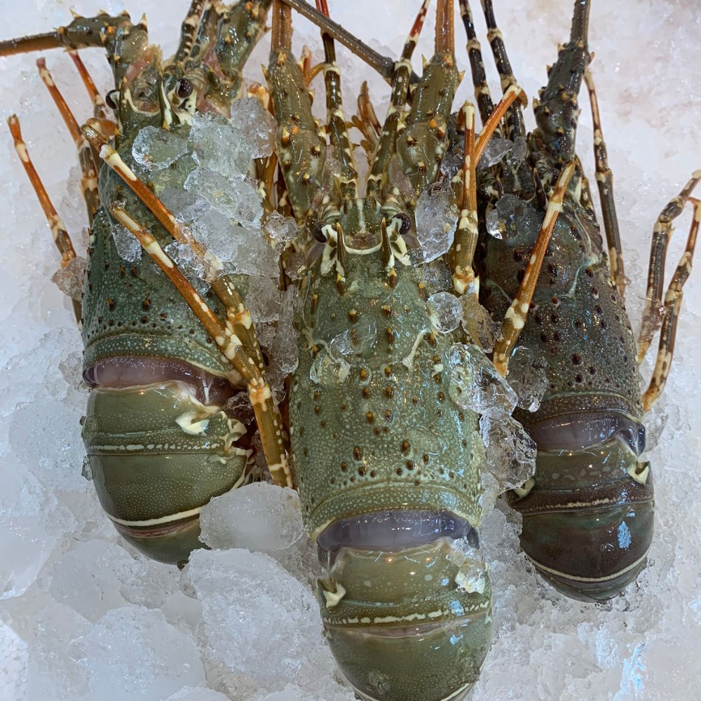 Seafood
