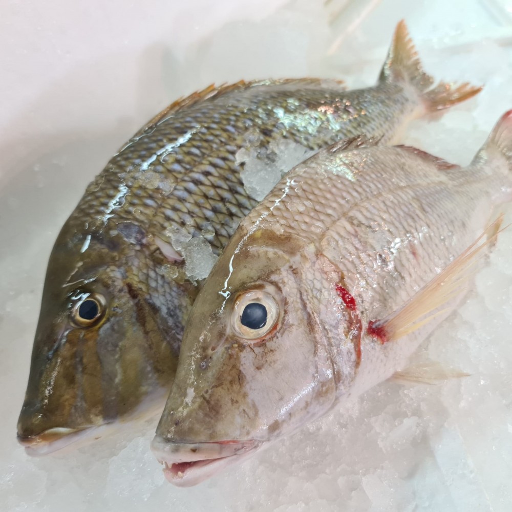 Seafood