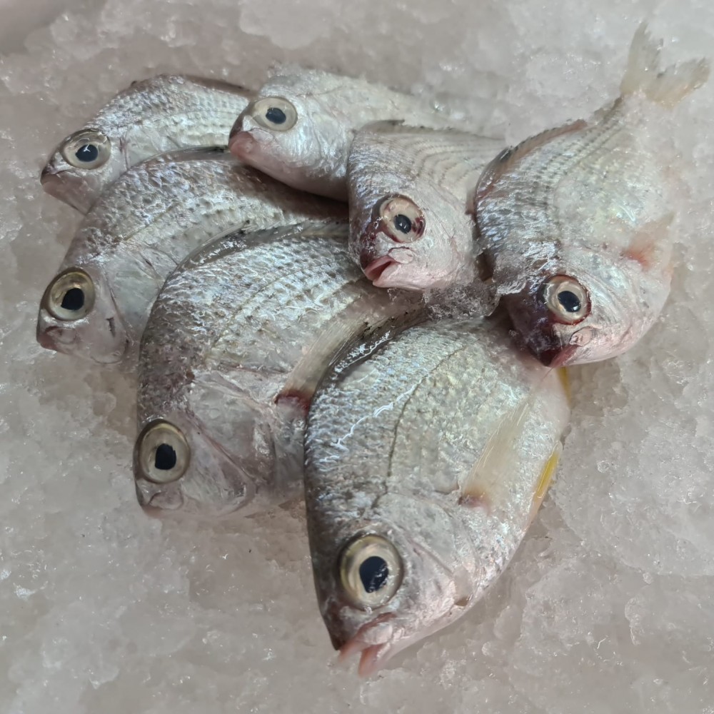 Seafood