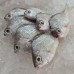 Seafood