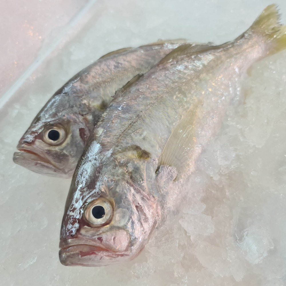 Seafood