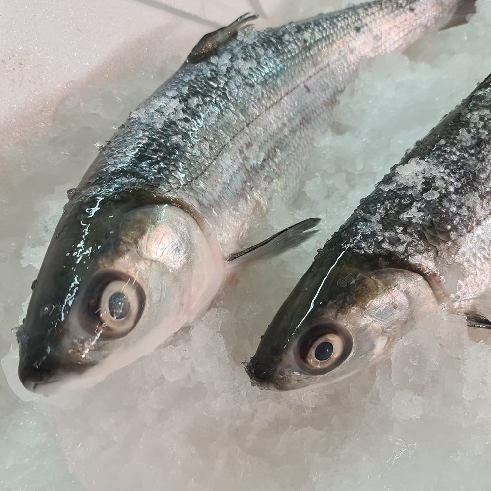 Seafood