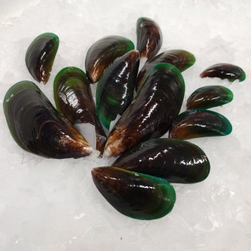 Frozen Mussels Green Lips (Whole Shell) 冰冻半壳青口贝 (1kg)