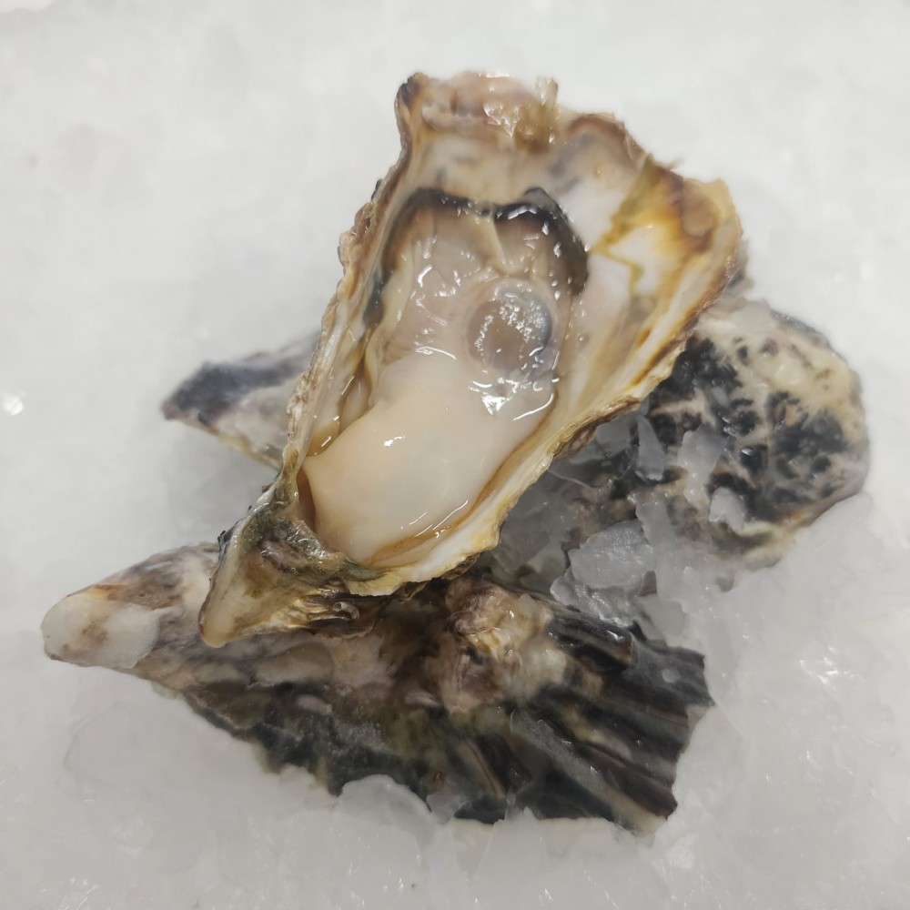 Seafood