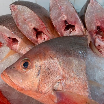 RARE DEALS! Wild Big Red Snapper Head 野生中红鸡头 (refer description) RARE DEALS! Wild Big Red Snapper Head 野生中红鸡头 (refer description)
