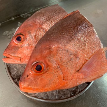 Frozen Red Snapper Head (Half a head) 冰冻春鸡头 (半个头)