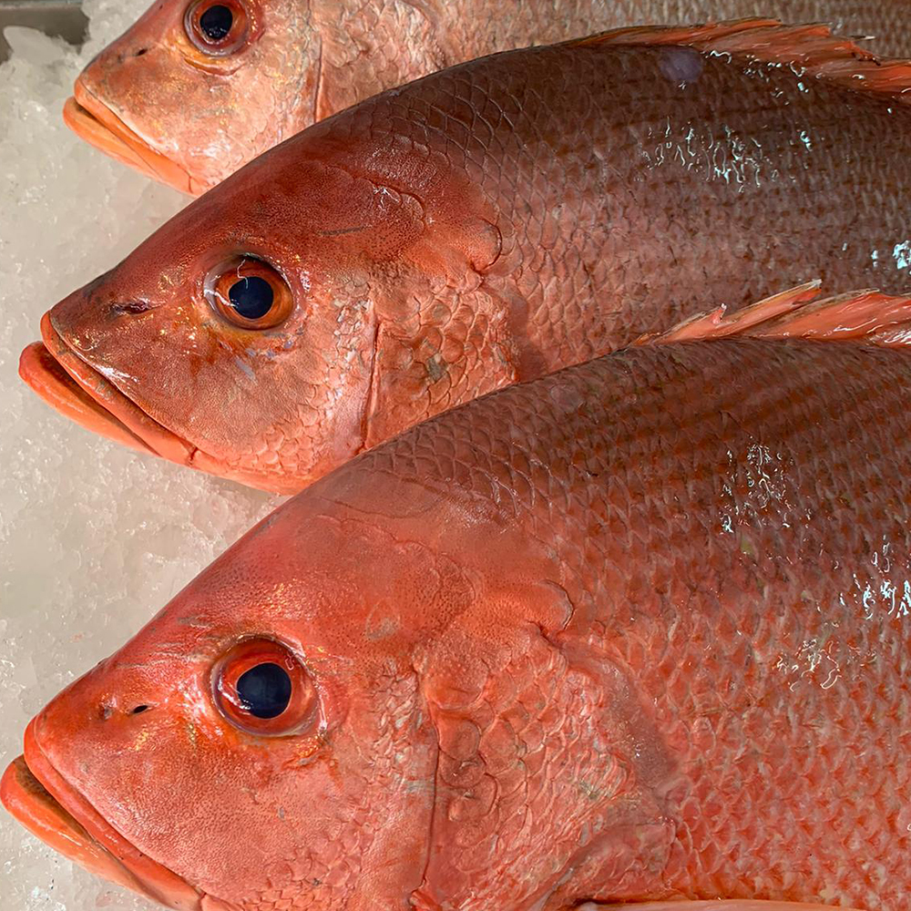 Frozen Seafood