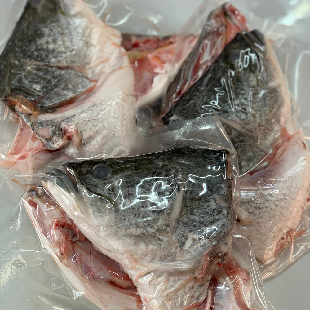 Seafood
