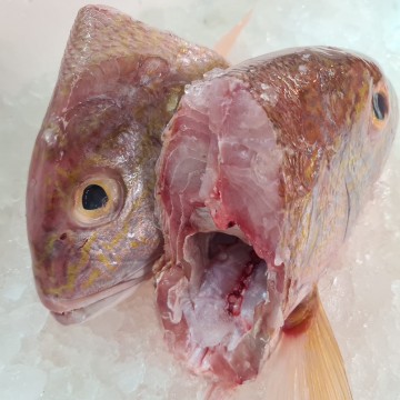 Frozen Seabream Head (Half a head) 冰冻红哥里头 (半个头)