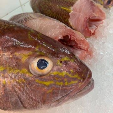 RARE DEALS! Seabream Head 红哥理头 (refer description)