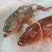 Seafood