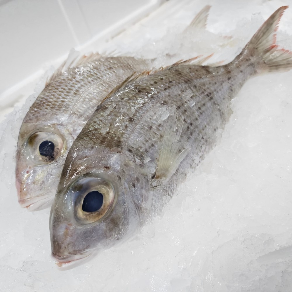 Seafood