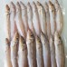 Frozen Seafood