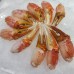 Seafood